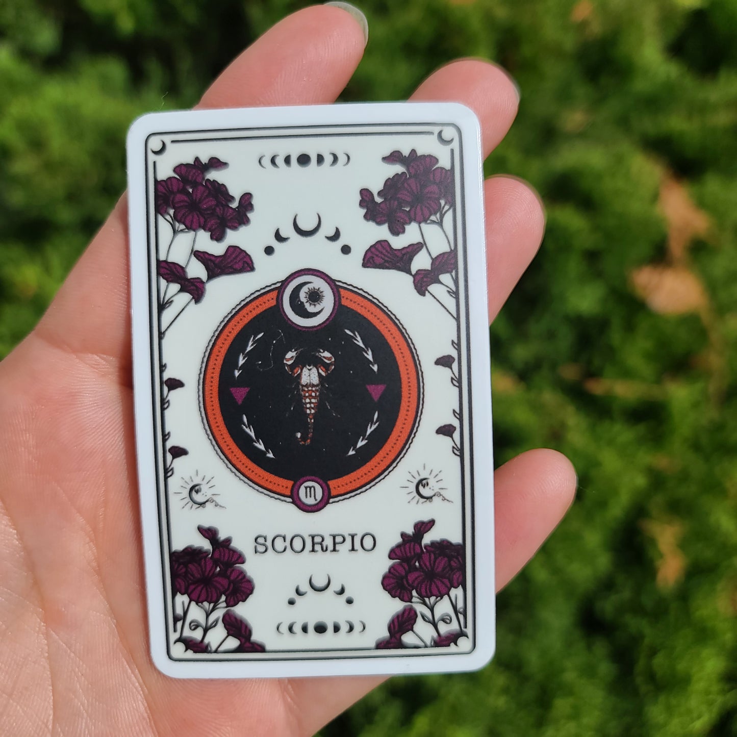 Scorpio Tarot Card Sticker